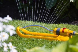 water lawn1